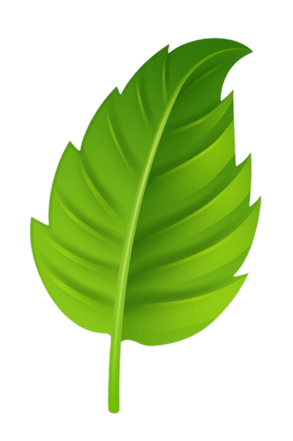 icon leaf